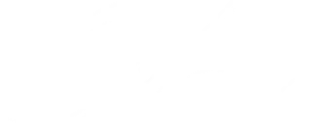 Signature 2